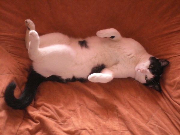 BENNY fait la sieste !